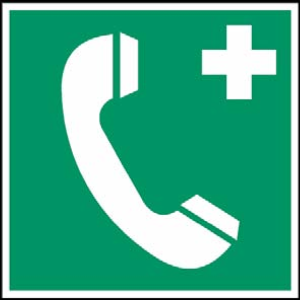Interpreting in Emergency Settings: Telephonic Skills for Crisis Calls
