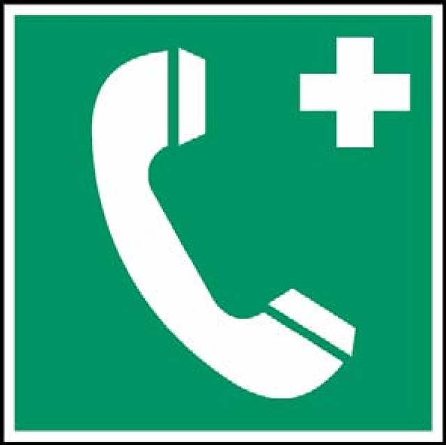 Interpreting in Emergency Settings: Telephonic Skills for Crisis Calls